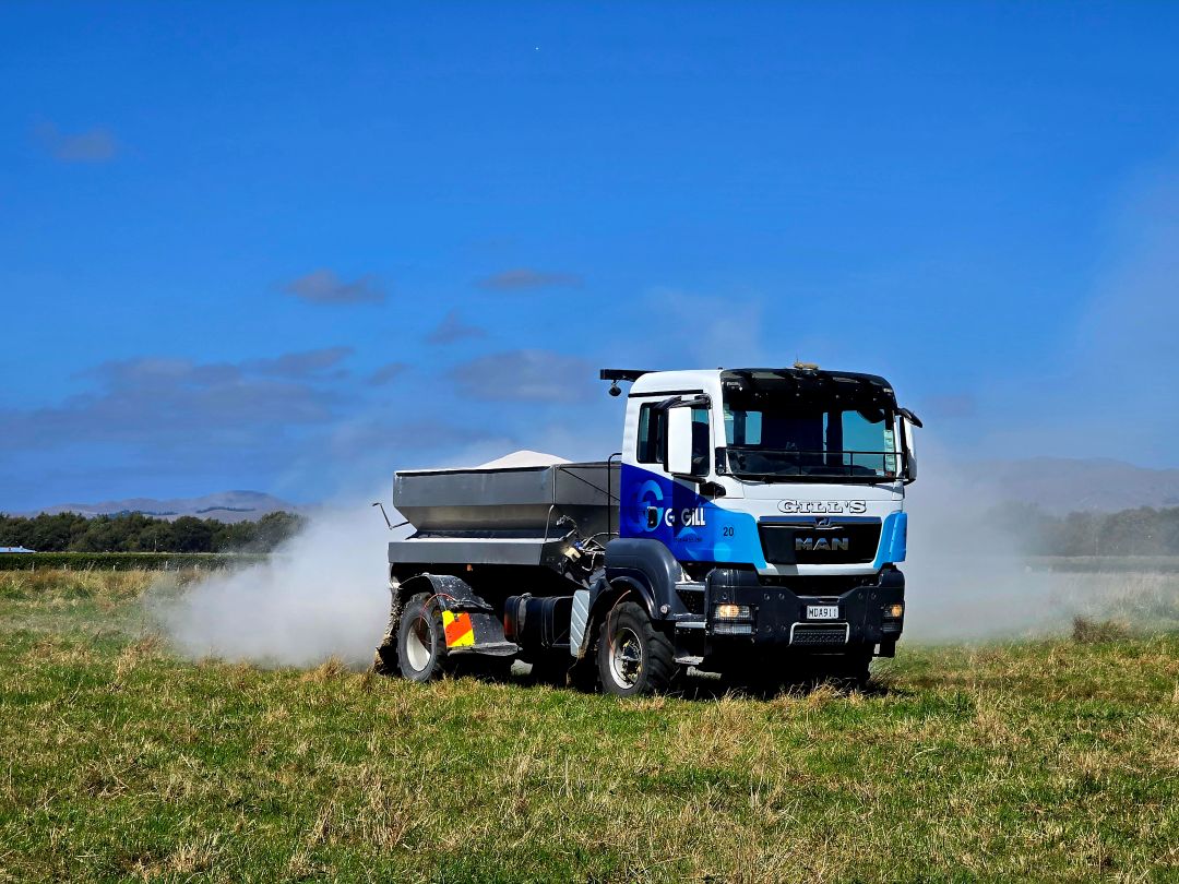 Spreading - Our services